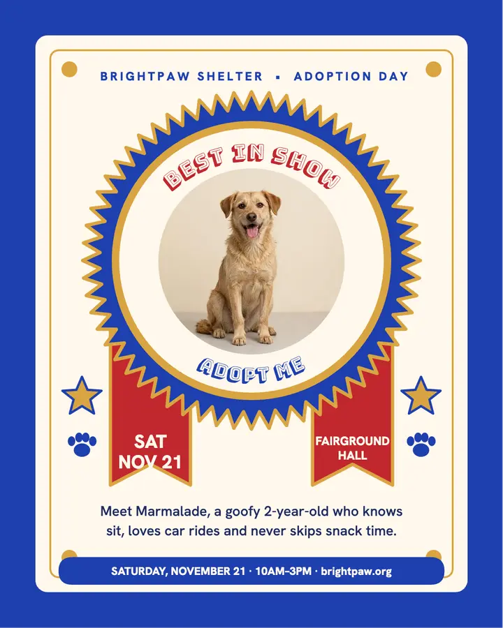 Brightpaw adoption day rosette post: adoption day post template
