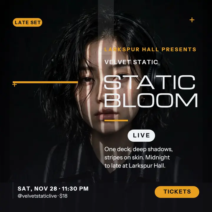 Velvet Static late DJ set square post template