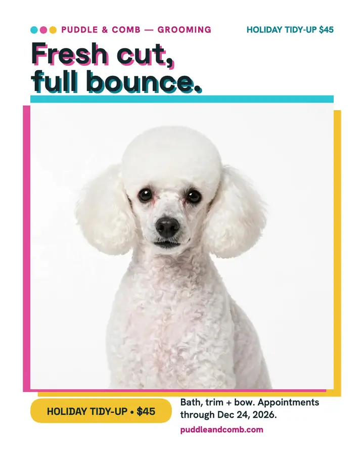 Puddle and Comb poodle holiday tidy-up post template
