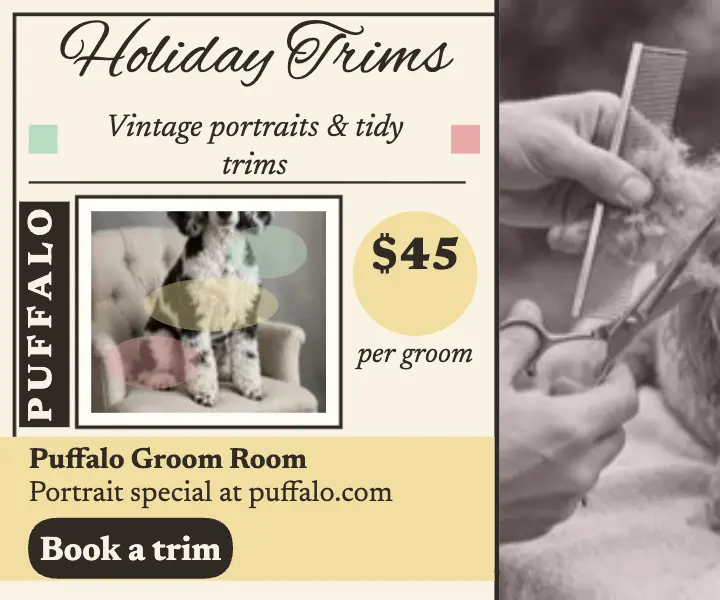 Puffalo tinted holiday groom ad template