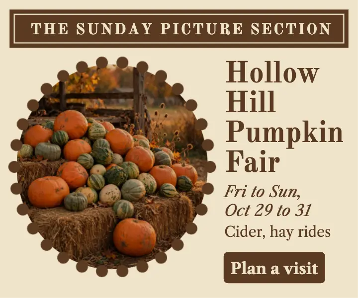 Hollow Hill pumpkin fair ad template