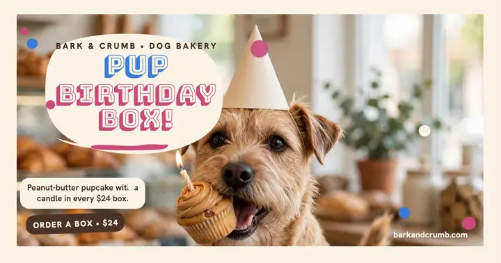 Bark and Crumb pup birthday box post: dog birthday post template