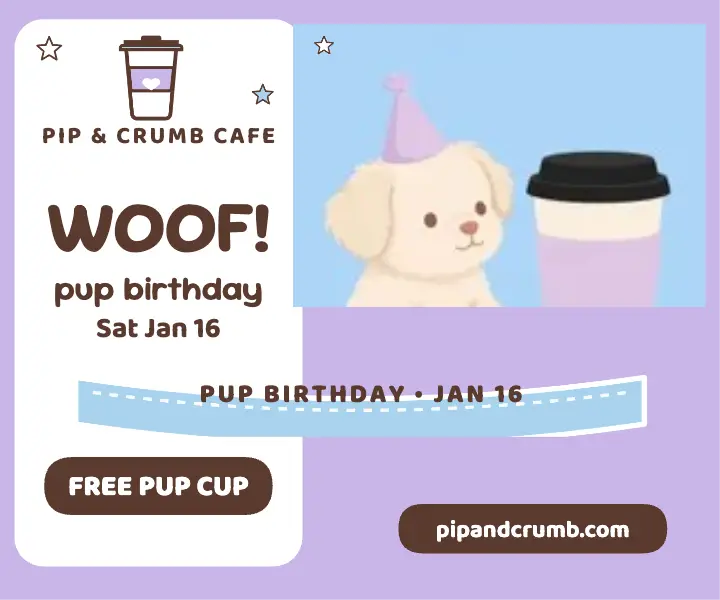 Pip and Crumb pup birthday cup ad template