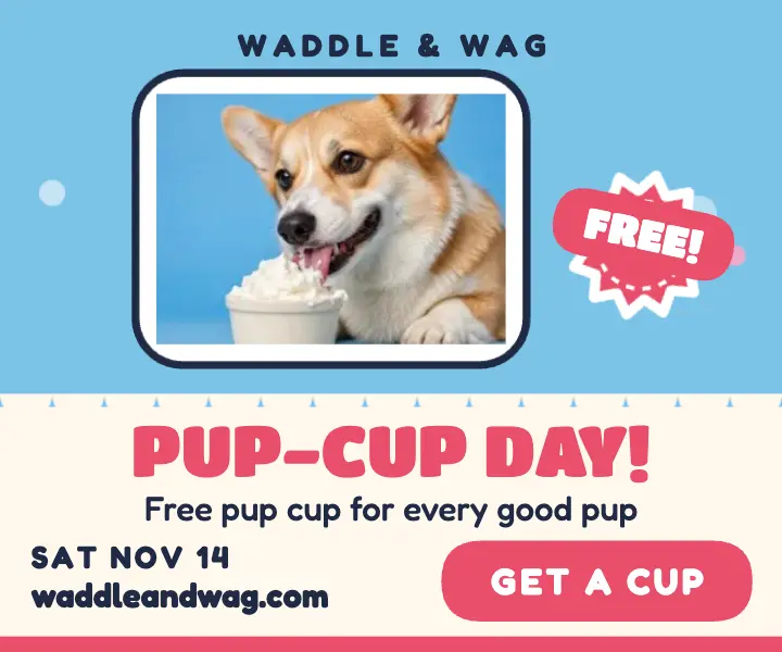 Waddle and Wag pup cup day ad template