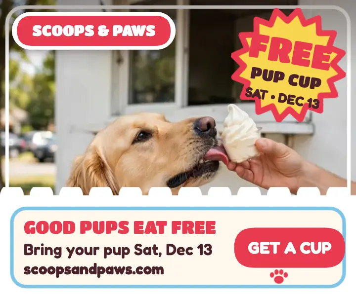 Scoops and Paws pup cup promo ad template