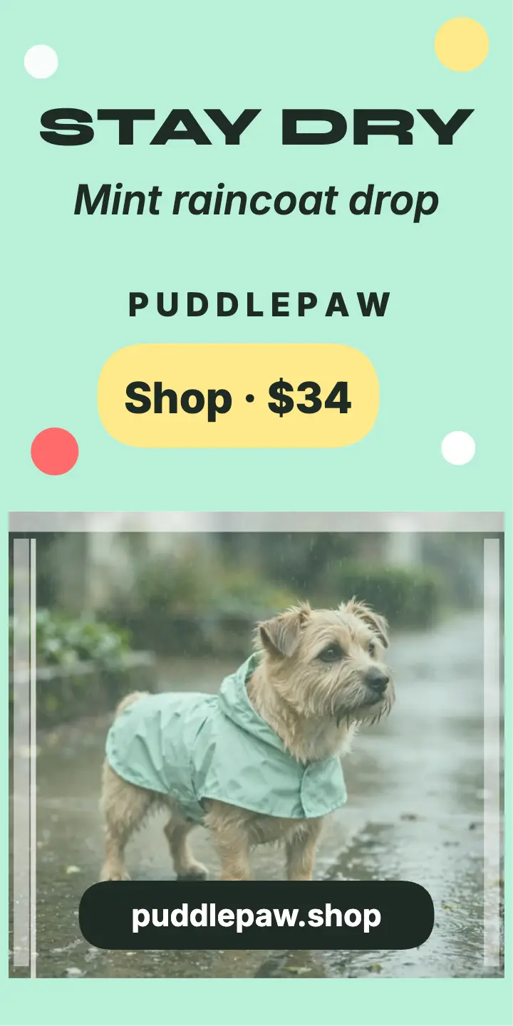 PuddlePaw raincoat vinyl half page ad template