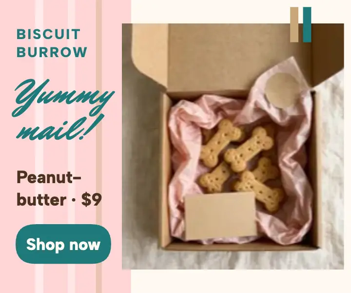 Biscuit Burrow treat mail rectangle ad template