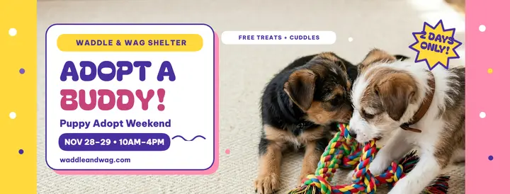 Waddle and Wag puppy adopt weekend cover template