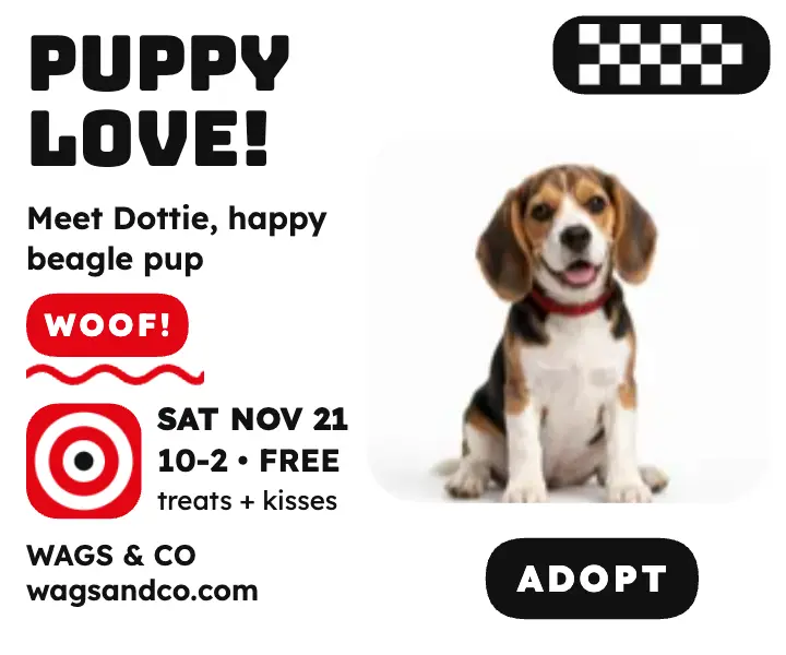 Wags and Co puppy adoption contrast ad template