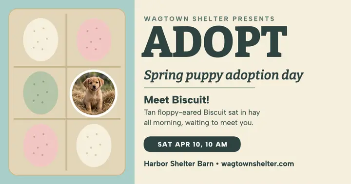 Spring puppy adoption egg carton post template