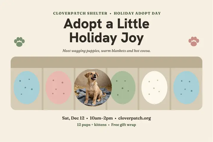 Cloverpatch holiday adopt day egg carton postcard template