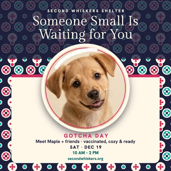 Second Whiskers puppy adoption millefiori post template