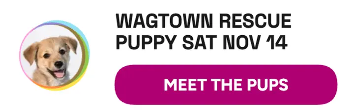 Wagtown puppy adoption mobile banner: puppy adoption banner template