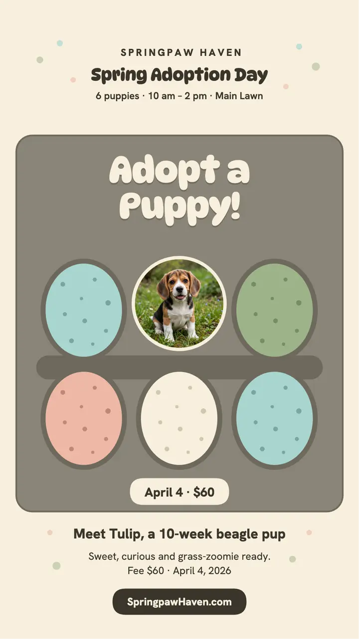 Springpaw puppy adoption day story template