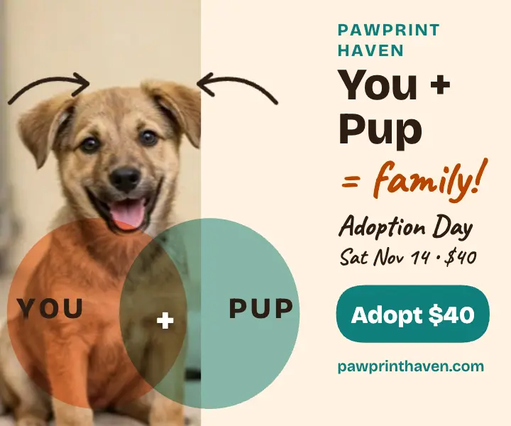 Pawprint Haven puppy adoption venn ad template