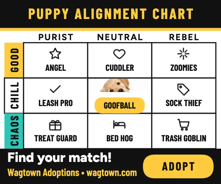 Wagtown puppy alignment chart ad template