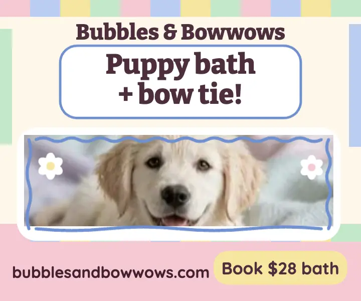 Bubbles and Bowwows puppy bath pastel ad template