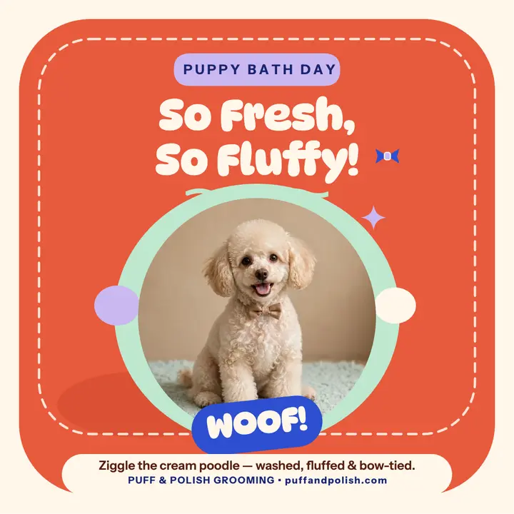 Puppy bath day tufted rug post template