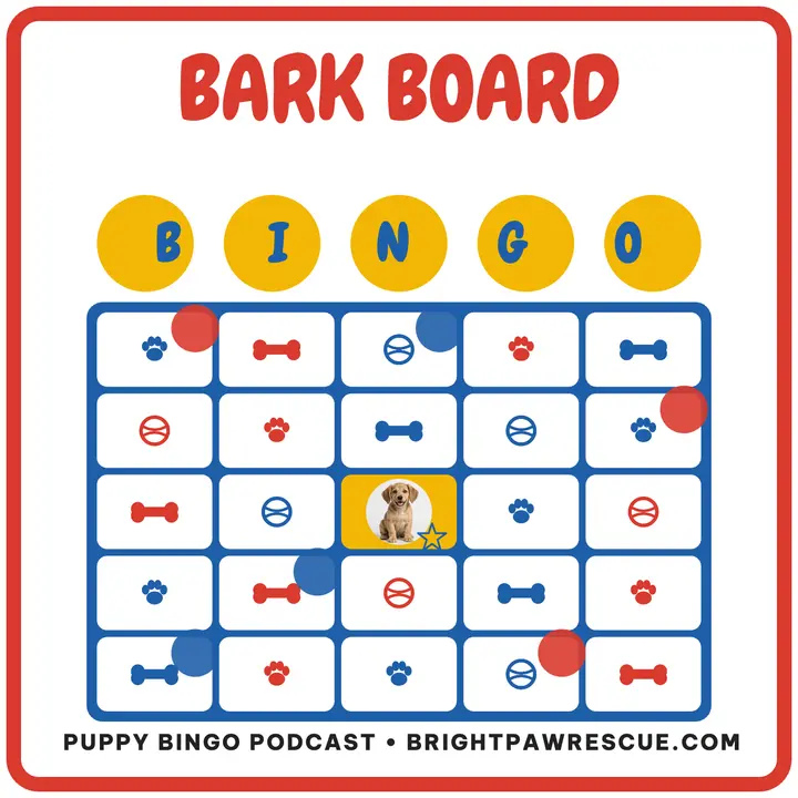 Puppy bingo adoption podcast cover: puppy bingo podcast cover template