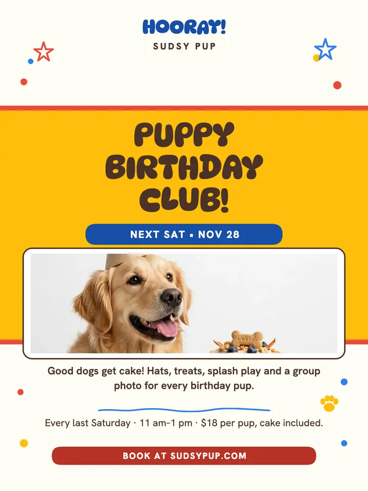 Sudsy Pup puppy birthday club portrait template