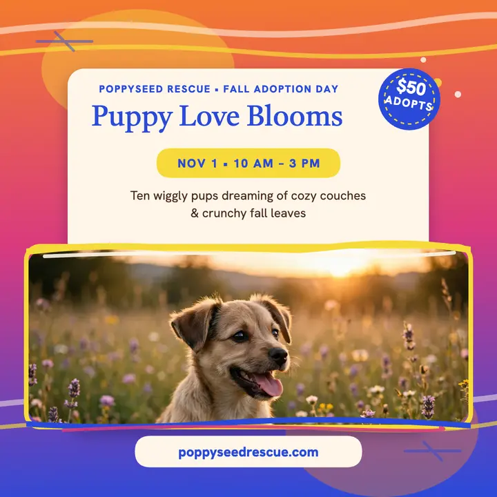 Poppyseed fall puppy adoption post template