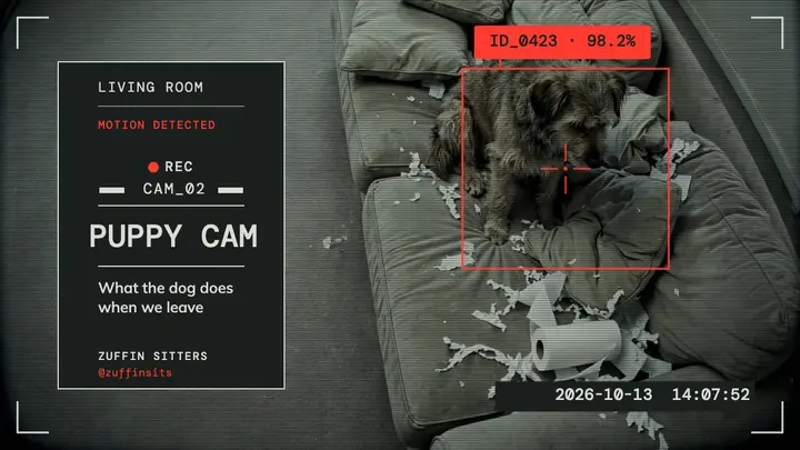 Puppy cam pet sitter thumbnail, surveillance frame template