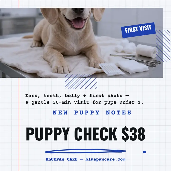 Bluepaw puppy check notes post template