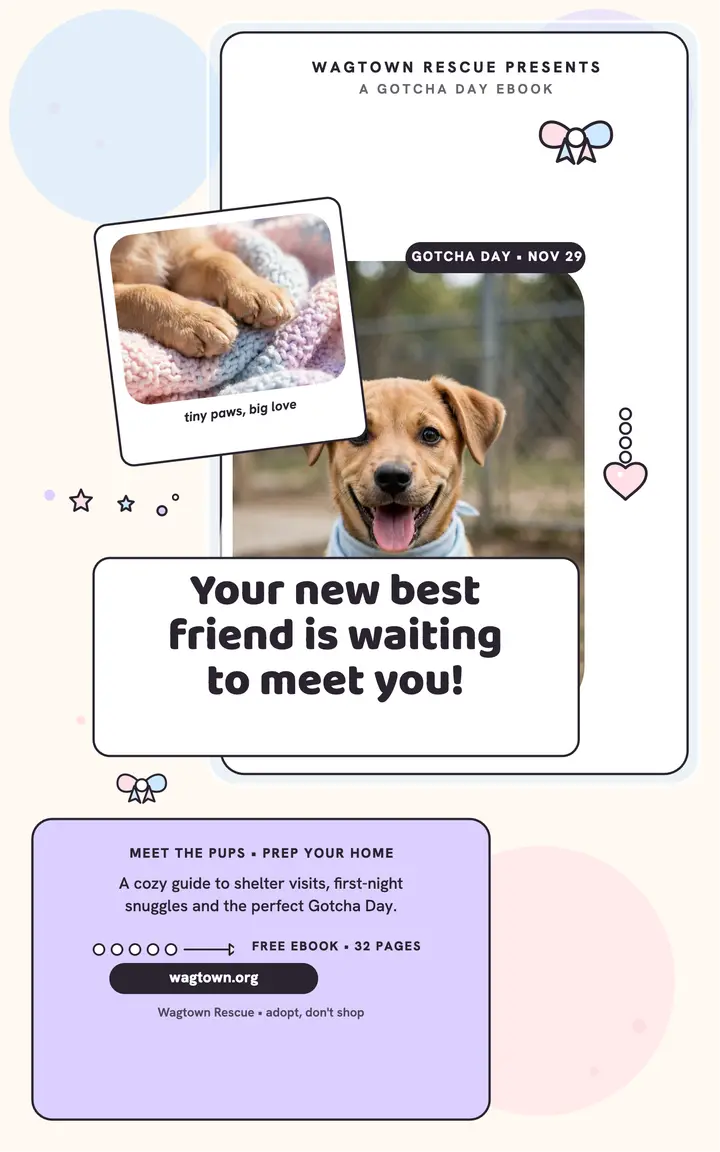 Puppy Gotcha Day photocard ebook template