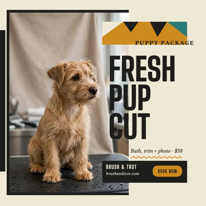 Brush and Trot puppy package post template