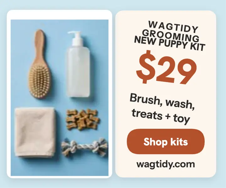 Wagtidy puppy kit rectangle ad template