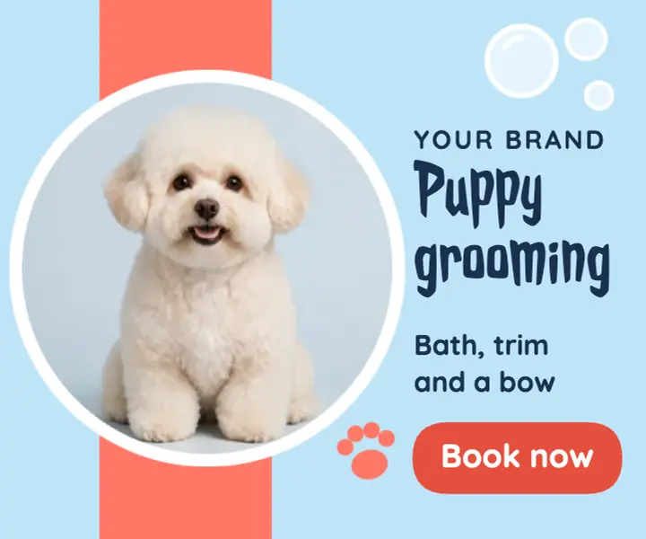 Sky blue and coral puppy grooming ad template