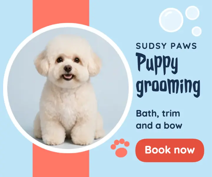 Sky blue and coral puppy grooming ad template