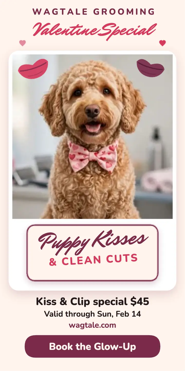 Wagtale puppy kiss Valentine ad template