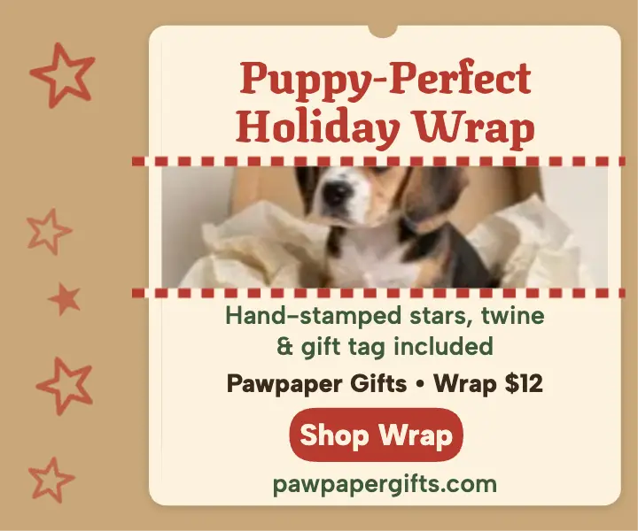 Pawpaper puppy holiday wrap ad template