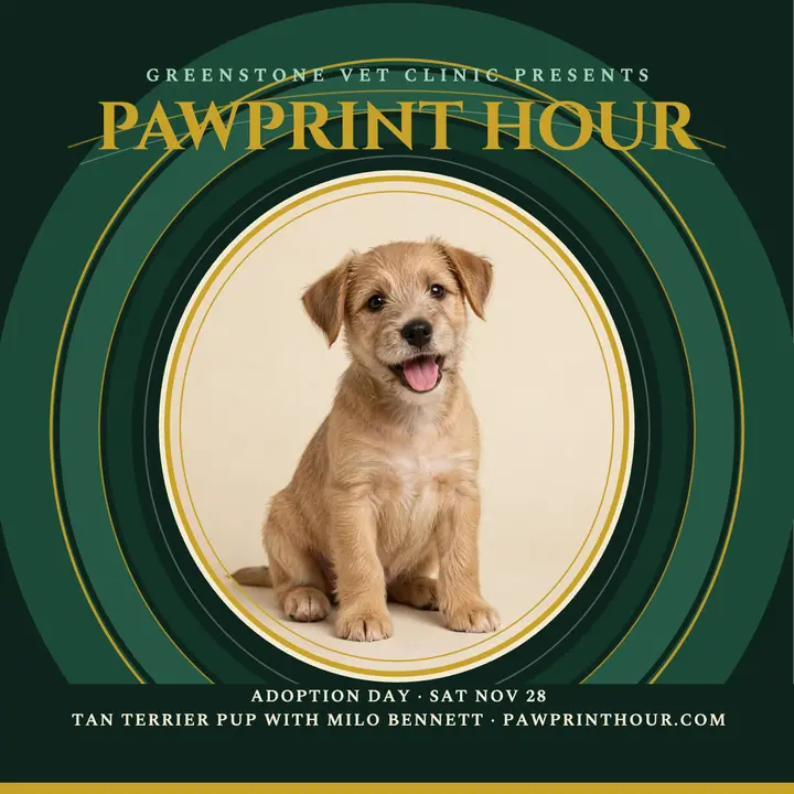 Pawprint Hour puppy adoption cover template