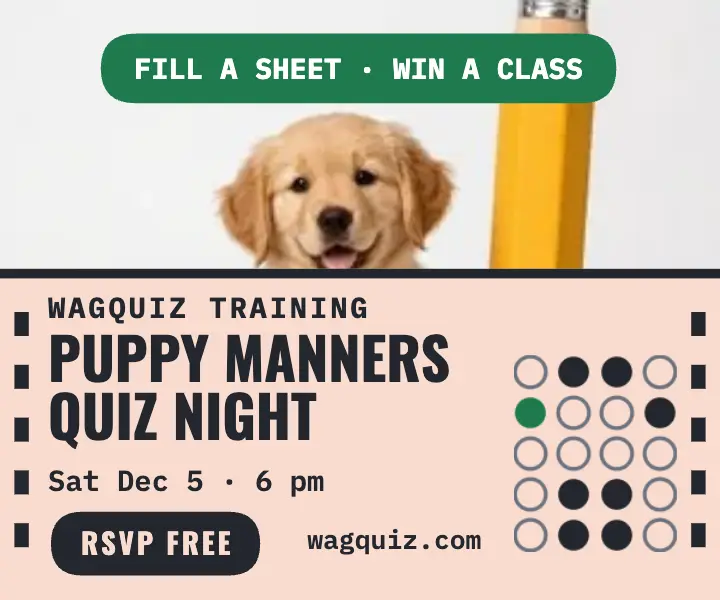 Wagquiz puppy manners quiz night ad template