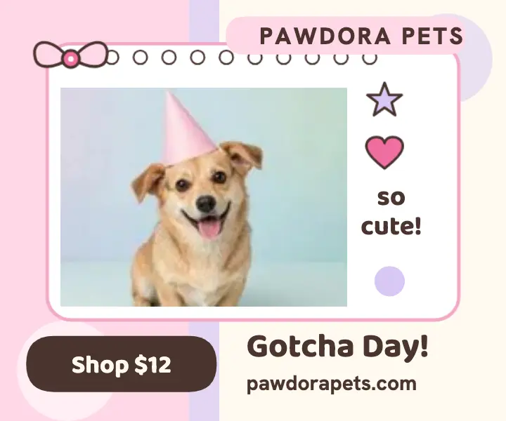 Puppy gotcha day photocard deco ad template