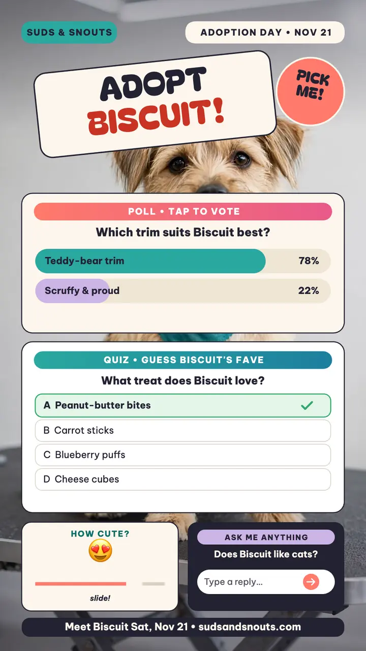 Biscuit adoption day poll story, Suds and Snouts template
