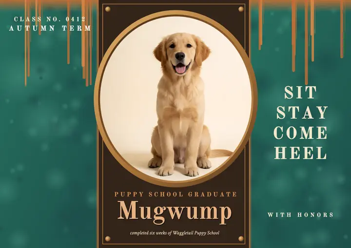 Waggletail puppy school verdigris certificate: puppy school certificate template
