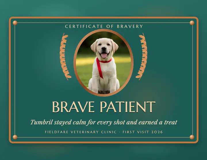 Fieldfare vet clinic brave patient plaque certificate template