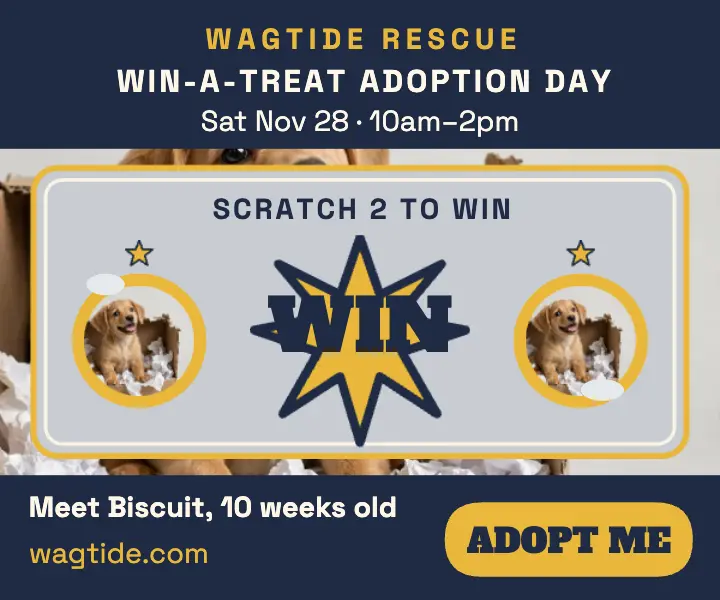 Wagtide puppy scratch-off adoption card: puppy adoption scratch card template