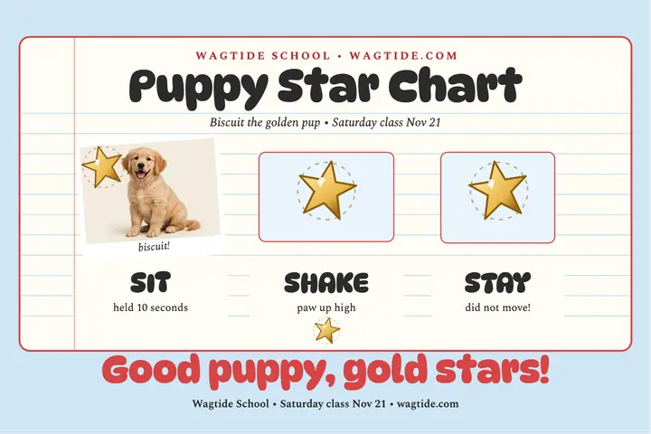 Biscuit puppy star chart postcard template