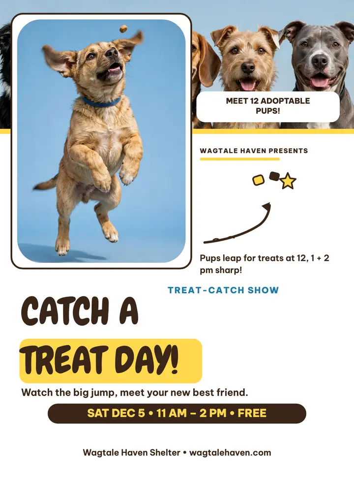 Wagtale Haven treat catch adoption flyer template
