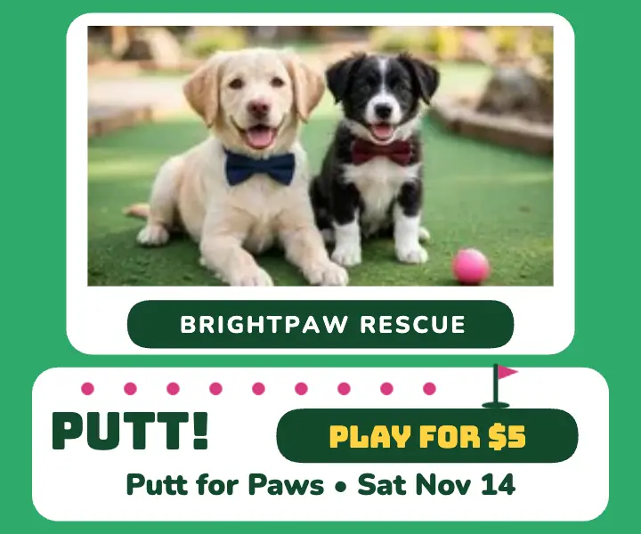 Putt for Paws golf adoption ad template