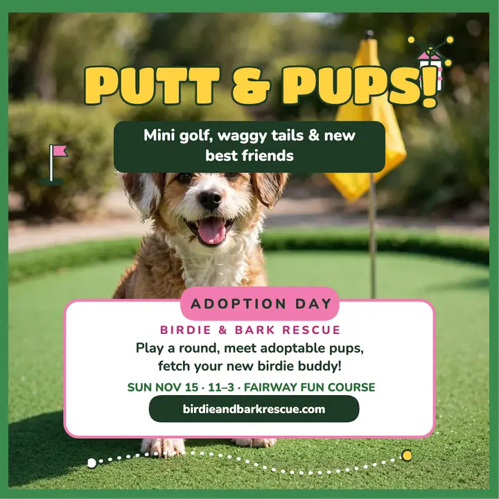 Birdie and Bark putt and pups adoption post: pet adoption post template