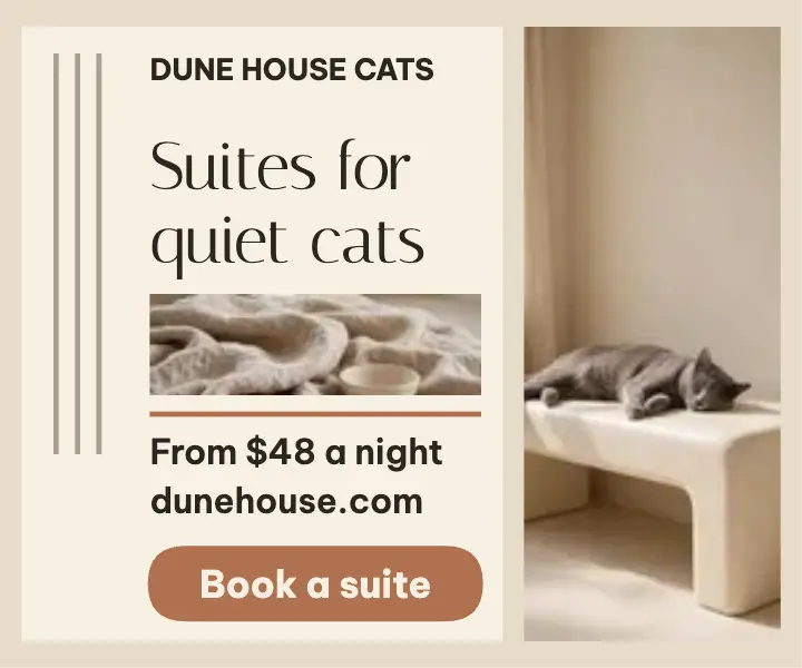 Dune House Cats quiet suites ad: cat boarding ad template