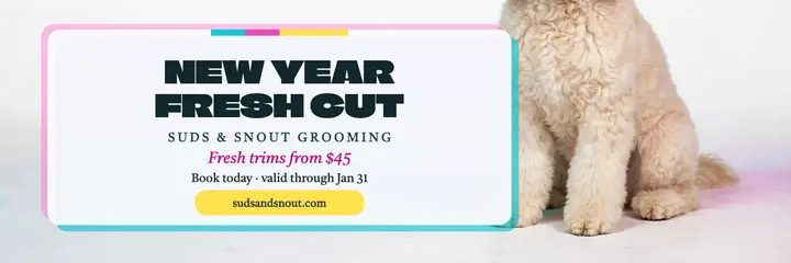 Suds and Snout New Year groomer header template