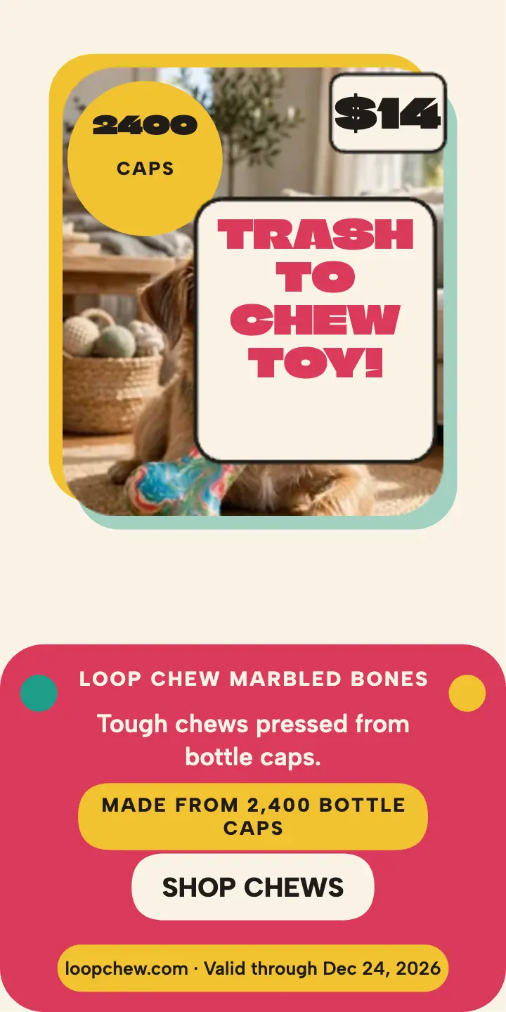 Loop Chew recycled dog toys half page ad template