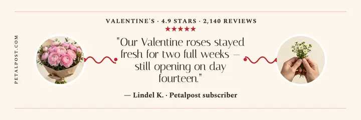 Petalpost Valentine testimonial header template