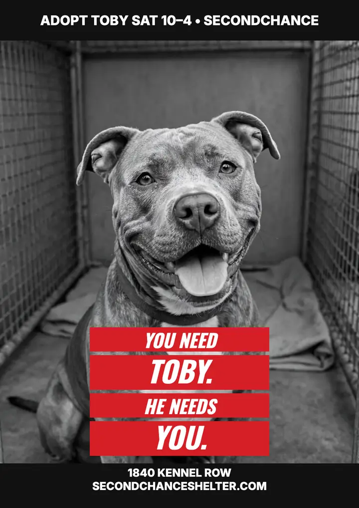 Adopt Toby red bar shelter flyer: dog adoption flyer template
